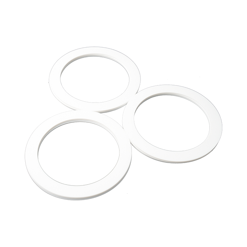 PTFE Gasket